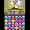 【パズドラ】光のアンケートカーニバルSランク動画あれこれ